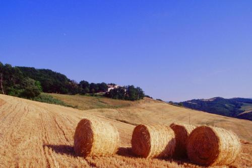 . Agriturismo Il Fienile di Cà Battista