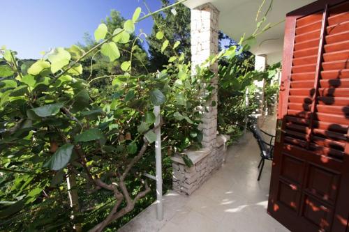 Apartments Lucia