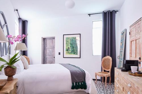 Orchid House Polanco Orchid House Polanco