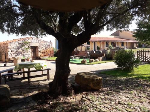  AGRITURISMO SA è PADEDDA in Mores