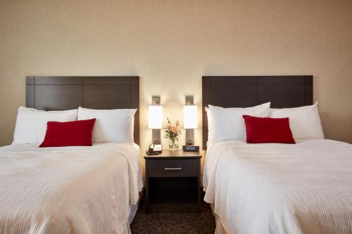 Standard Double Room - First Floor