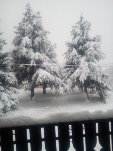 Affittacamere Les Noyers 4