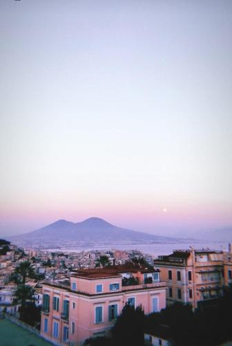 Vicstreet – Naples, CO