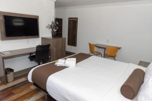 King Room