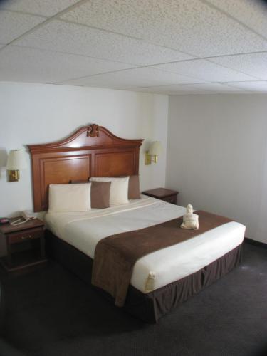 Dodge House Hotel - image 3