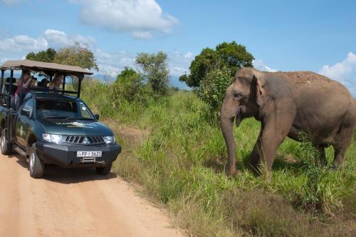 . Mahoora Udawalawe - by Eco Team