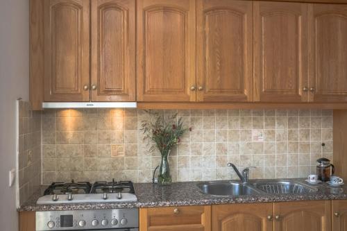 Modern flat with beautiful views in south of Corfu, Lefkimi (photo 8)