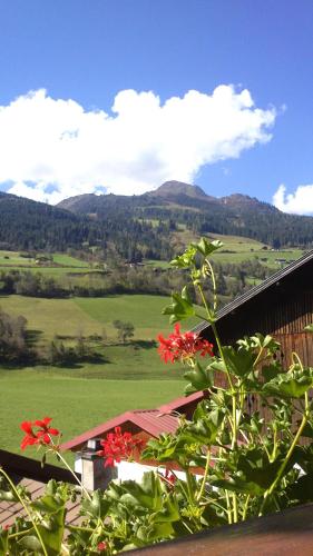 Stubnerbauer - image 4
