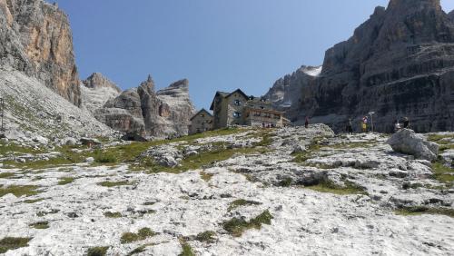 The Bear's house