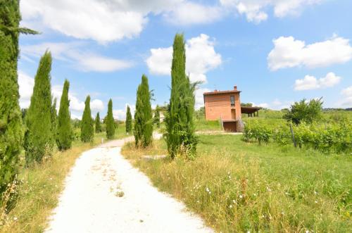 Il Sogno Tra I Vigneti - image 12