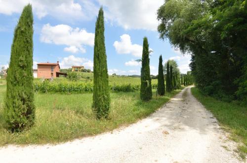 Il Sogno Tra I Vigneti - image 10