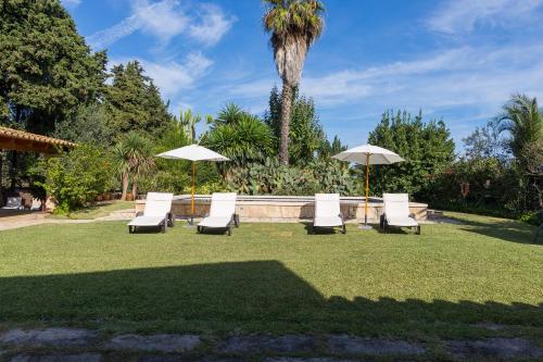 Hort de Can Roig - image 12