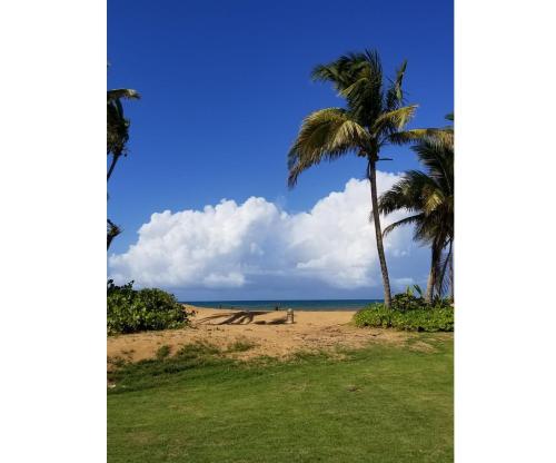 周邊環境, Beautiful Villa at The Wyndham Rio Mar Margaritaville Beach Resort in 里奧格蘭德