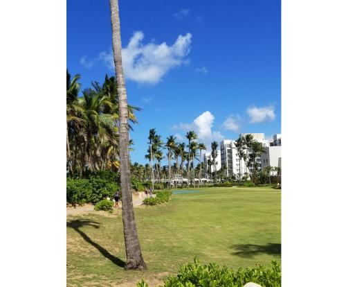 Beautiful Villa at The Rio Mar Beach Resort - image 8