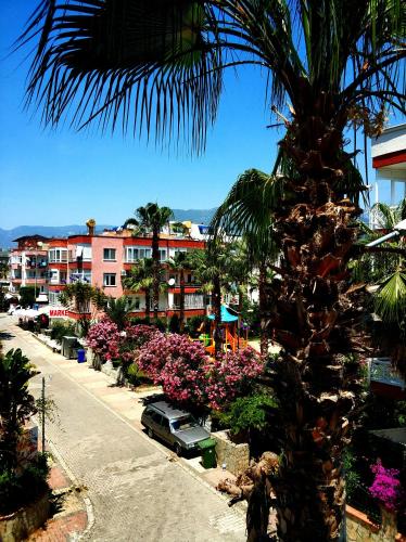  Best Home 11 Oba City in Alanya