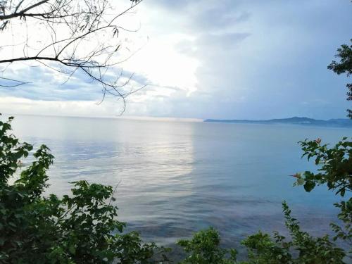 薄荷岛拉霍潜水度假村