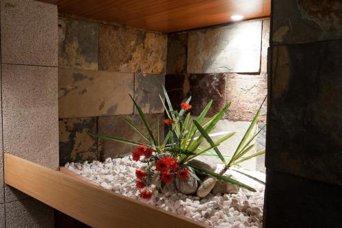 Mondim Hotel & Spa - image 11