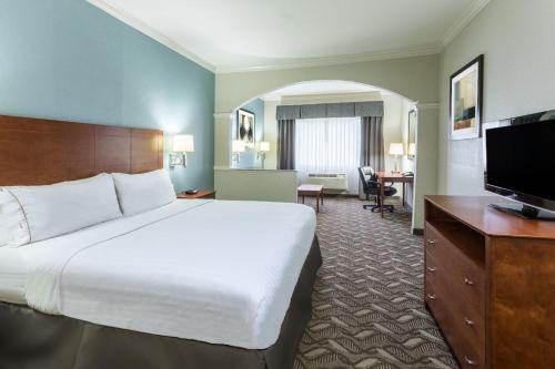 Holiday Inn Express Hotel and Suites Lake Charles, an IHG Hotel