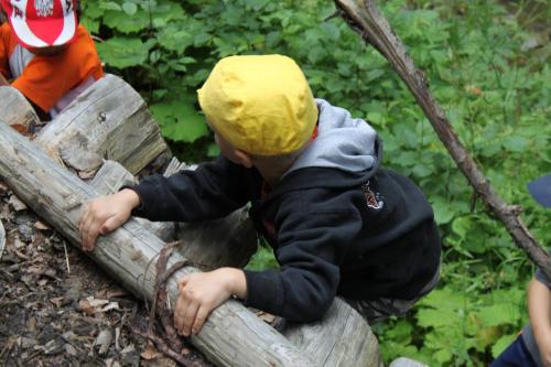Bacówka w sercu gór - dom z bali w Gorcach Bacówka w sercu gór - dom z bali w Gorcach