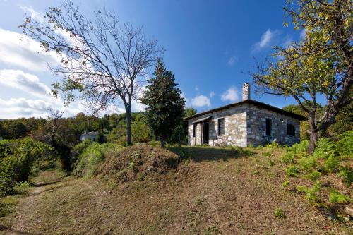  Tranquil Cottage on Hill in Tsagkarada