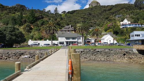 . The Marlin of Whangaroa