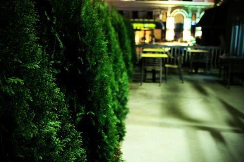 ทัศนียภาพภายนอกโรงแรม, Sleep Inn Prishtina in ปริสตินา
