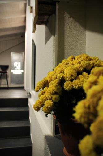ทัศนียภาพภายนอกโรงแรม, Sleep Inn Prishtina in ปริสตินา