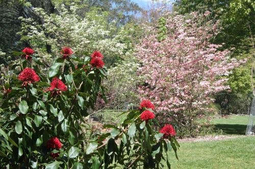 shady brook cottages