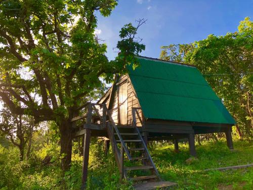 Nature Lodge