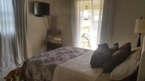 Private Garden Suite, Surf, Work, Relax photo 4