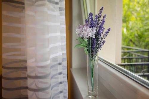 Villa Odobasic Rooms - image 14