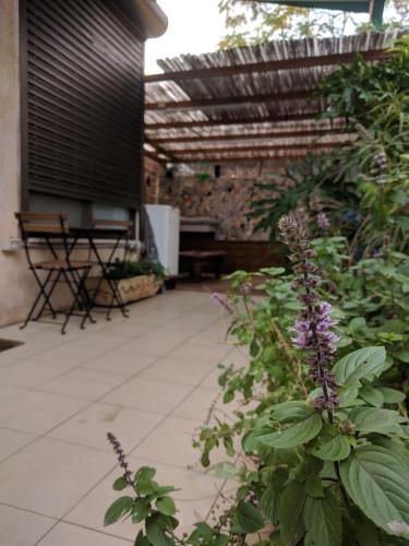 Exterior view, Ahuzat Shaul - Apartment in Hadera