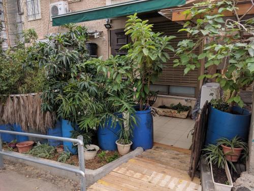 Exterior view, Ahuzat Shaul - Apartment in Hadera