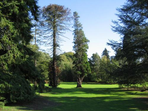 Easthampstead Park - Re opened Nov2020 after full redesign and refurbishment - image 2