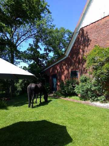 Vedere exterior, Ferienwohnung unterm Reetdach in Cuxhaven