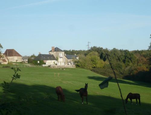 Domaine de Montgenoux chambre d'hôte Anguyenne