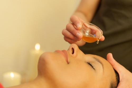 Chalet Silvretta Hotel & Spa - image 6