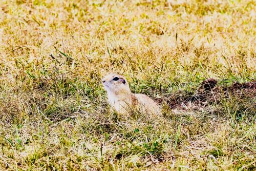 呼和浩特青檬国际青年旅舍
