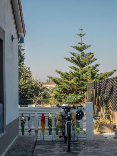 Kert, Santiago KM-0 in Santiago De Compostela