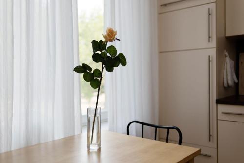Ferienwohnung Leipzig Floßplatz, Lipsia (foto 3)