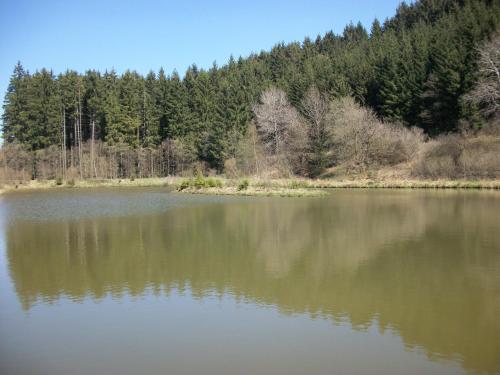 FILD - Holiday Apartment - image 13