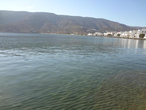 Cozy Citrus Garden House by the Seaside. in Ormos Korthiou (Cyclades)