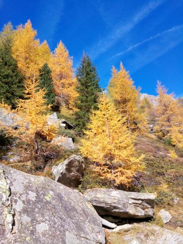 Pension & Appartament Anna