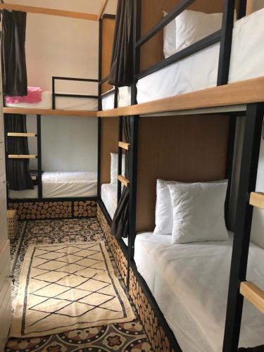 Bunk Bed in Mixed Dormitory Room