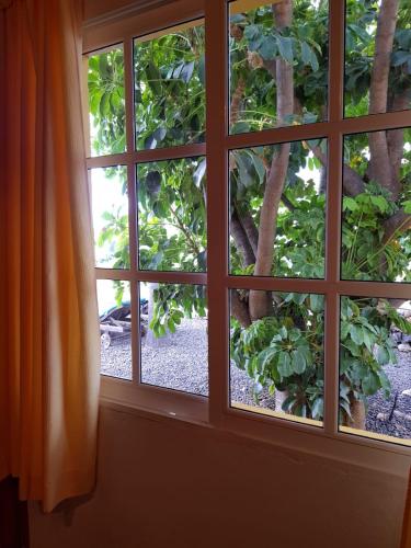 Casa Óscar – Los Llanos de Aridane, MS