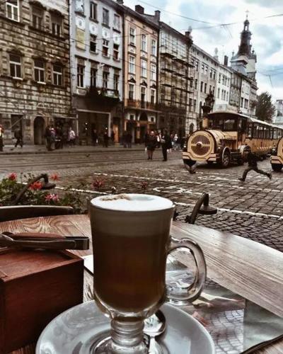 ViP apartment in ♥ of Lviv