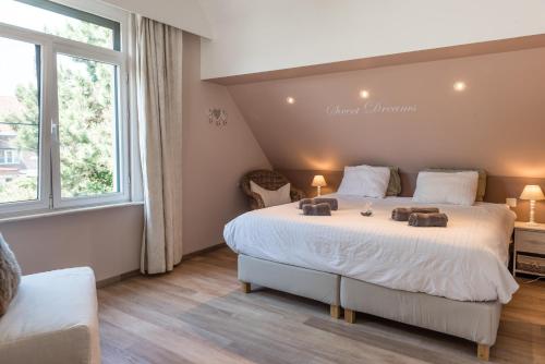 B&B Alegría 2