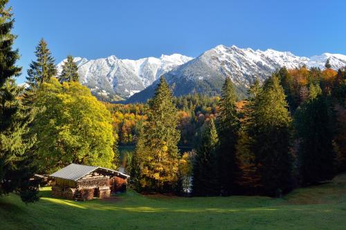 Ferienwohnungen Alpentraum - freiSicht