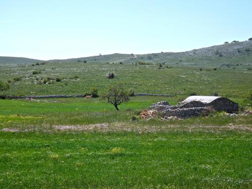 Hotel Yria - image 8