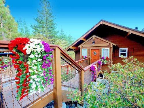 View, Mountain Cabin with Hot Tub and Sauna in Incline Village (NV)